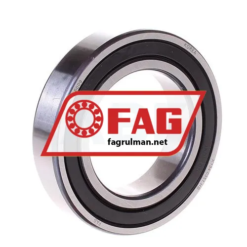 FAG 6009-2RSR