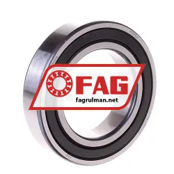 FAG 6009-2RSR