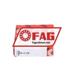 FAG 6005-C-2Z-C3 rulman resim 3