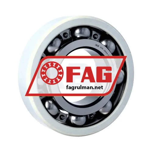 FAG 6315-J20AA-C3