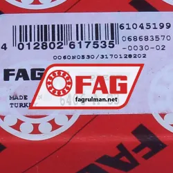 FAG 6406-A-C3 rulman resim 5