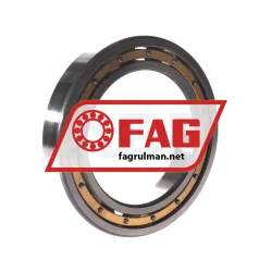 FAG 6021-M-C4 rulman resim 2