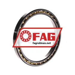 FAG 61821-Y