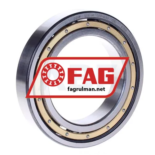 FAG 6014-M