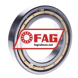 FAG 6014-M