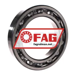 FAG 6022-C3 rulman resim 2