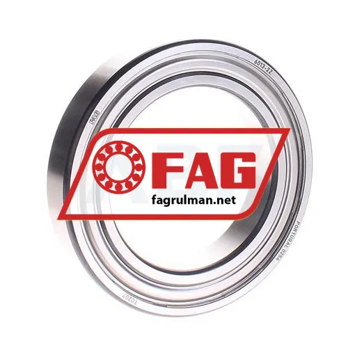 FAG 6013-2Z