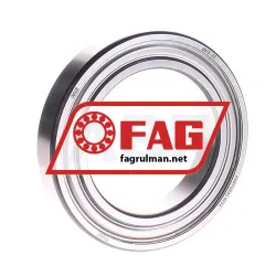 FAG 6013-2Z