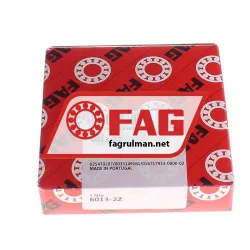 FAG 6013-2Z rulman resim 2