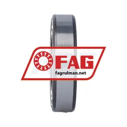 FAG 6006-C-2HRS-C4 rulman resim 3