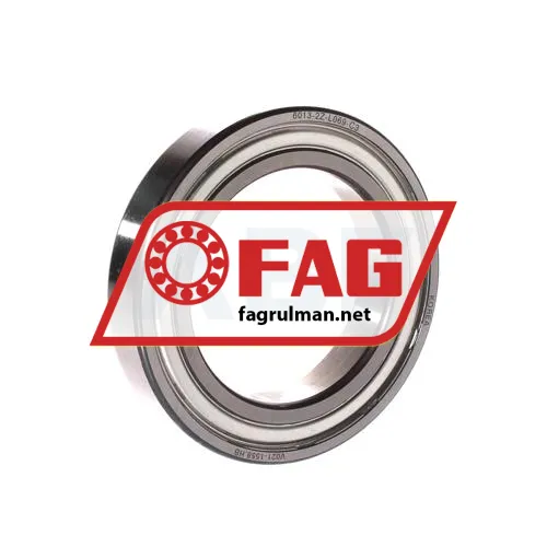 FAG 6013-2Z-L069-C3