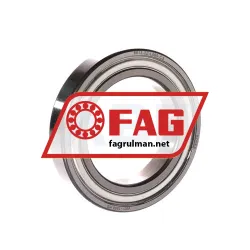FAG 6013-2Z-L069-C3