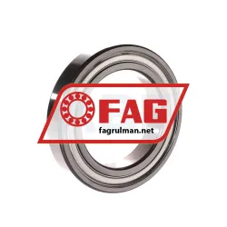 FAG 6013-2Z-L069-C3 rulman resim 2