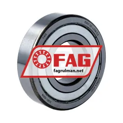 FAG 6307-2Z-L038-C3
