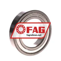 FAG 6011-Z