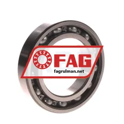 FAG 6011-Z rulman resim 2