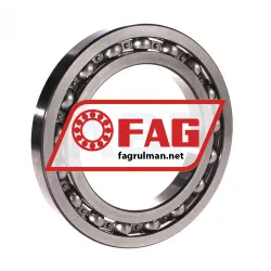FAG 16022-C3 rulman resim 2