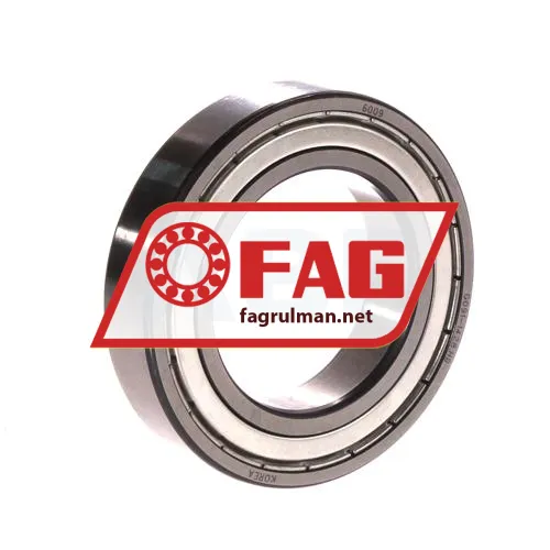 FAG 6009-2ZR