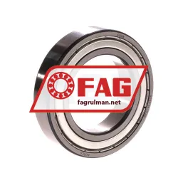 FAG 6009-2ZR