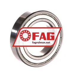 FAG 6009-2ZR rulman resim 2