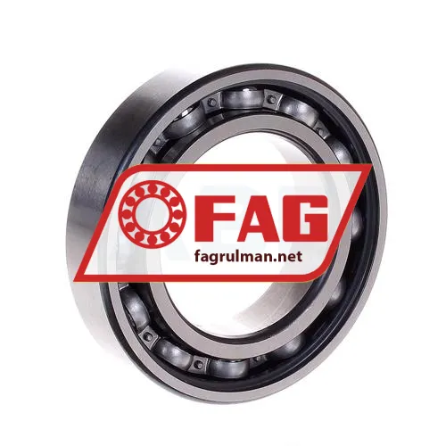 FAG 6008RSR
