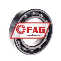 FAG 6008RSR