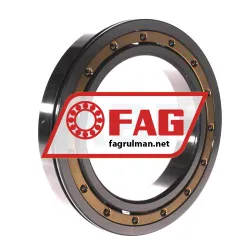 FAG 6024-N-MA-C3 rulman resim 2