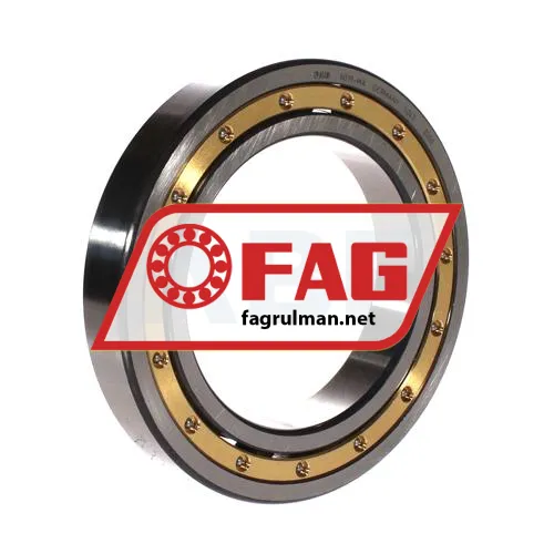 FAG 6019-MA