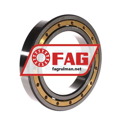 FAG 6019-MA ürün fotoğrafı 2