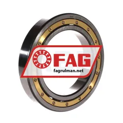 FAG 6019-MA