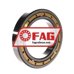 FAG 6019-MA rulman resim 2