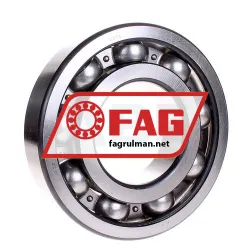 FAG 6320