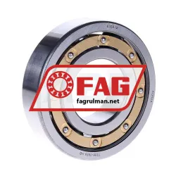 FAG 6309-M
