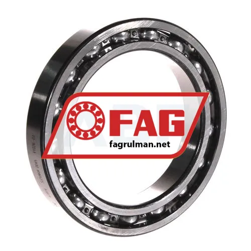 FAG 61914