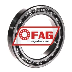 FAG 61914