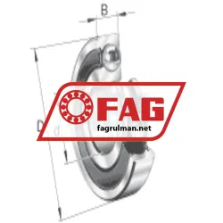 FAG 6007-RSR-C3 rulman resim 4