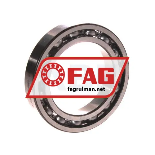 FAG 61909