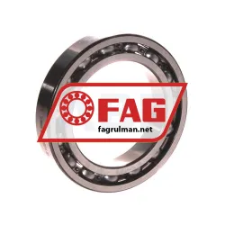 FAG 61909