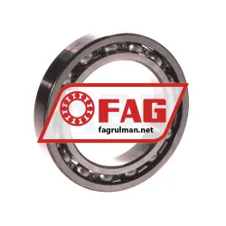 FAG 61909 rulman resim 3