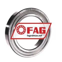 FAG 6020-Z-C3