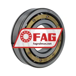 FAG 6314N-M-C3