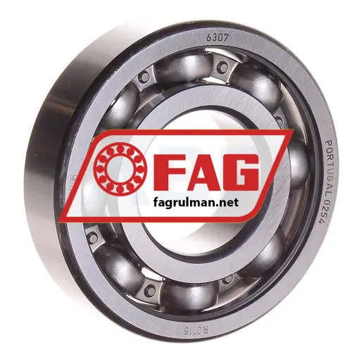 FAG 6307