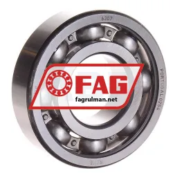 FAG 6307