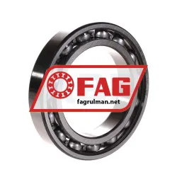 FAG 6015