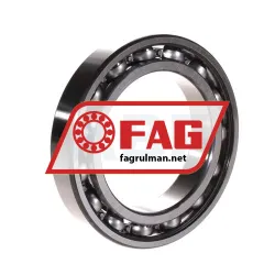 FAG 6015 rulman resim 2