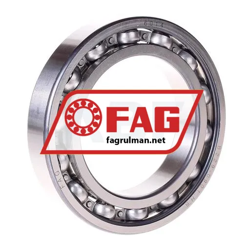 FAG 6014