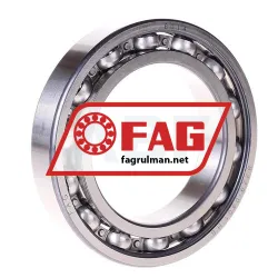 FAG 6014
