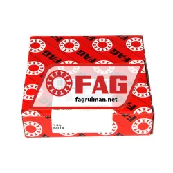 FAG 6014 rulman resim 3