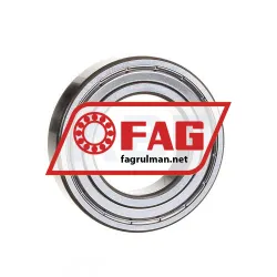 FAG 6007-2ZR