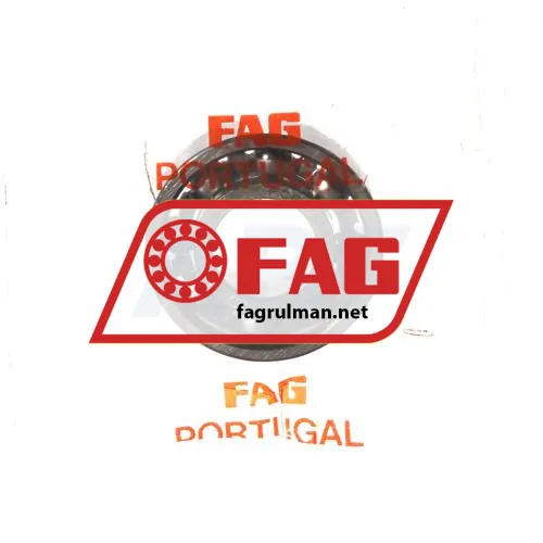FAG 6001